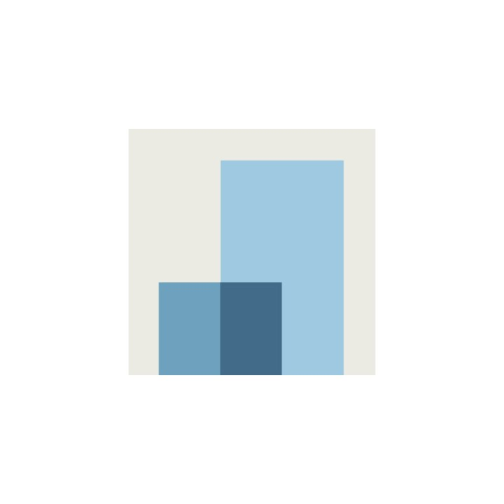 Salient Partners